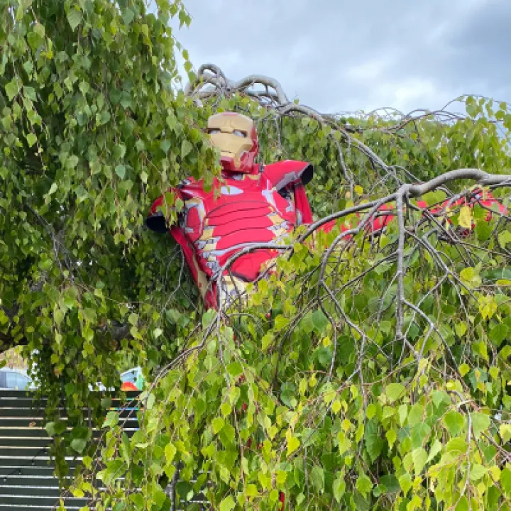 014_Gill Boys_Iron Man in Tree