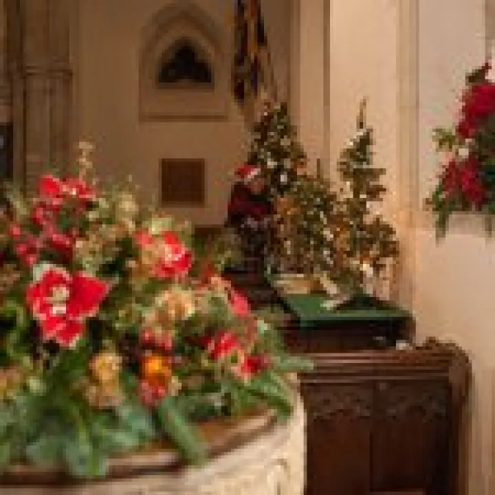 Christmas Tree Festival 02