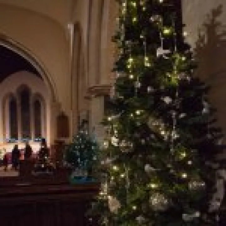 Christmas Tree Festival 10