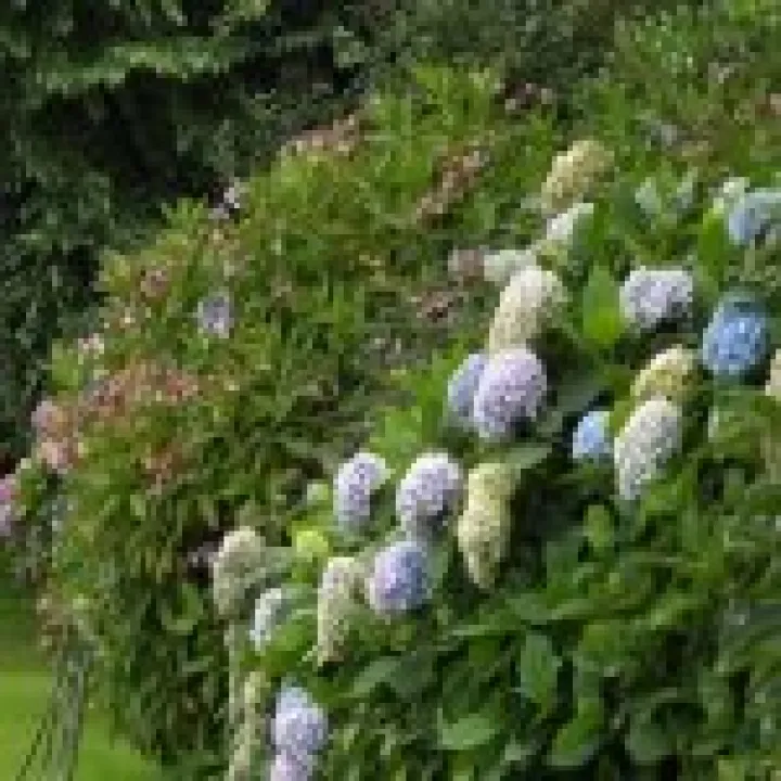 DSCF0689
