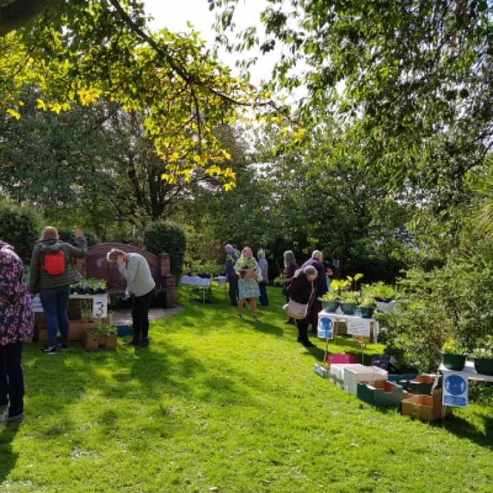 Image: 20200912_121242