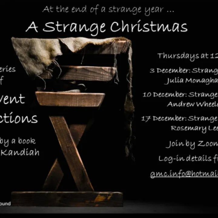 A Strange Year Poster 2020 (004)