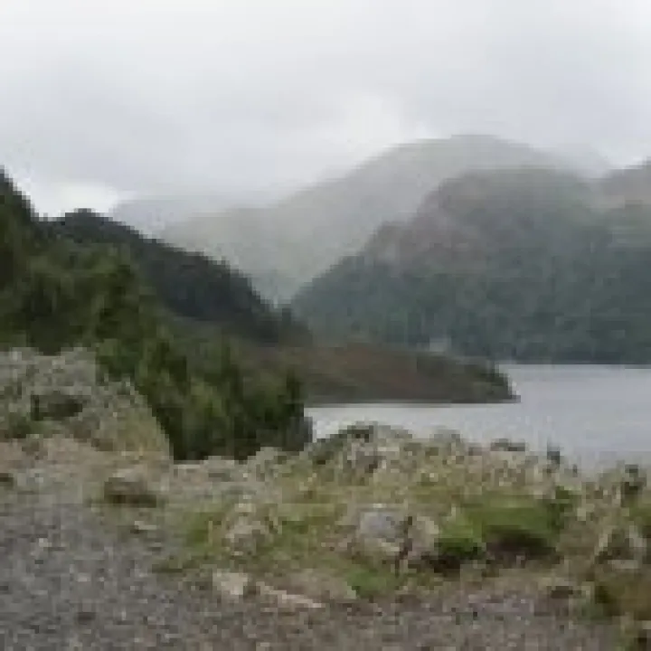 IMG 0007