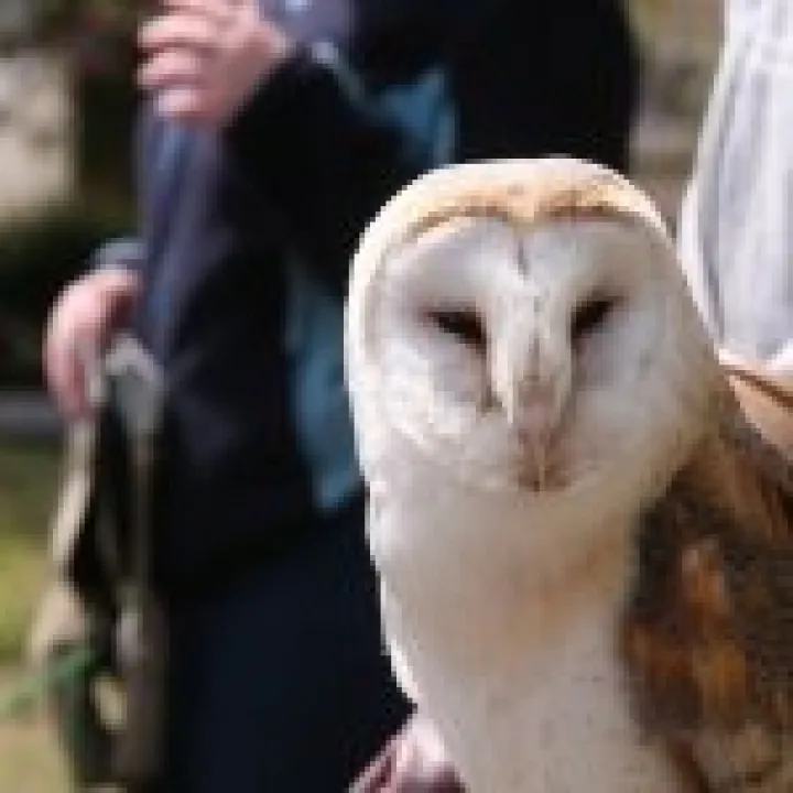 Northumbria 2009 010