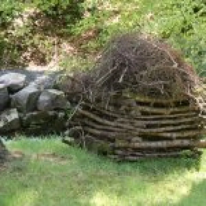 Northumbria 2009 075