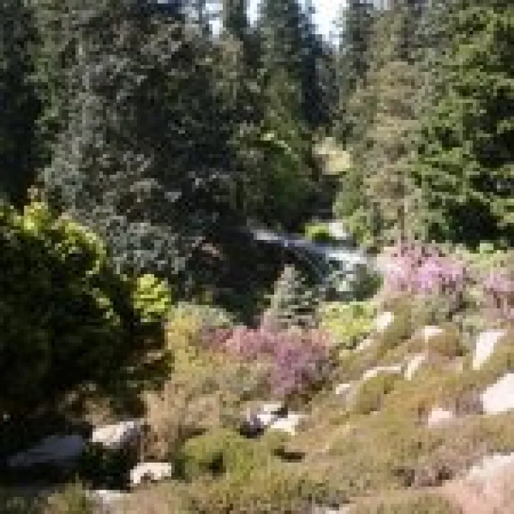 Northumbria 2009 086