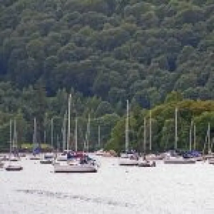 Canon 350D Feb2010 415