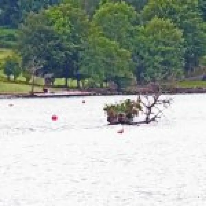 Canon 350D Feb2010 422