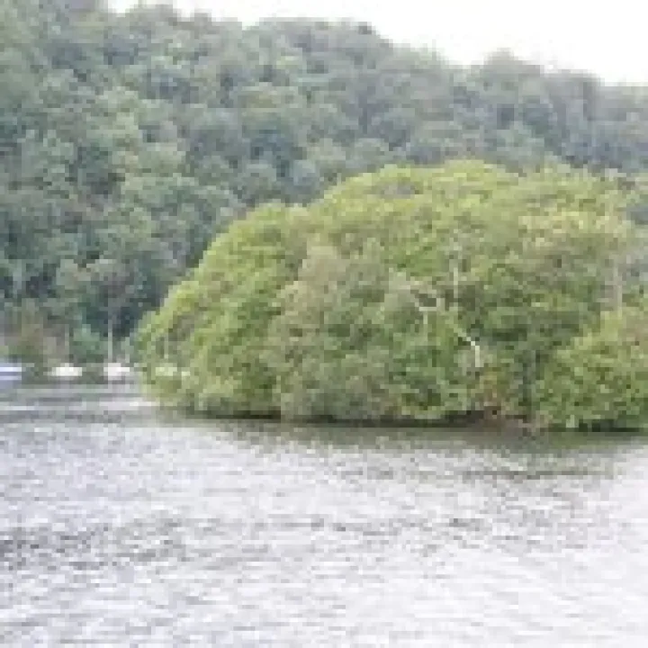 Canon 350D Feb2010 423