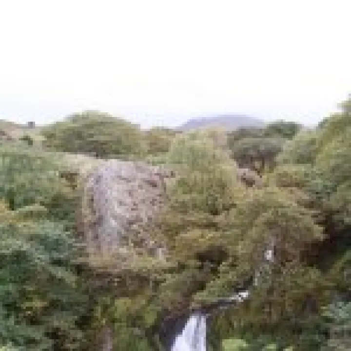 Canon 350D Feb2010 529