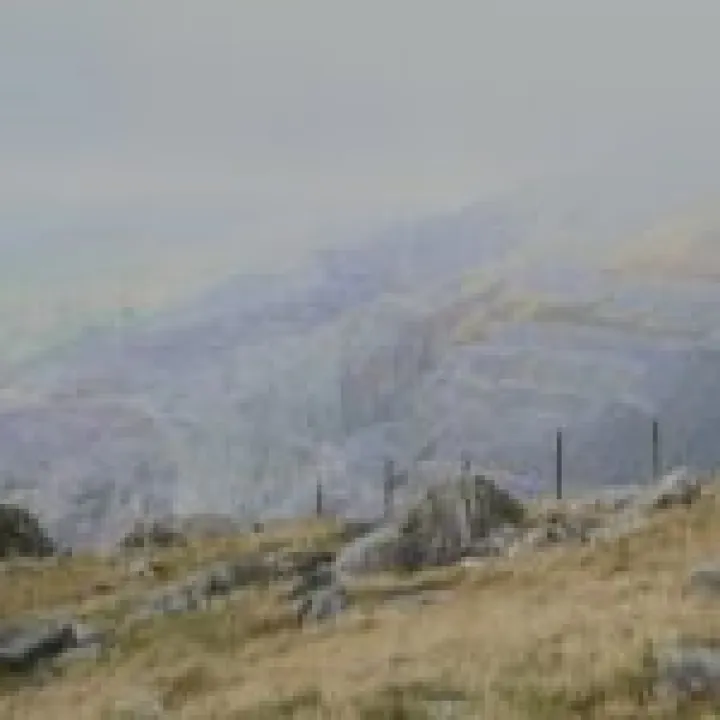 Canon 350D Feb2010 536