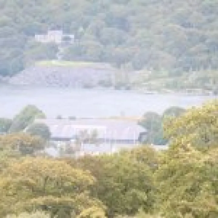 Canon 350D Feb2010 531