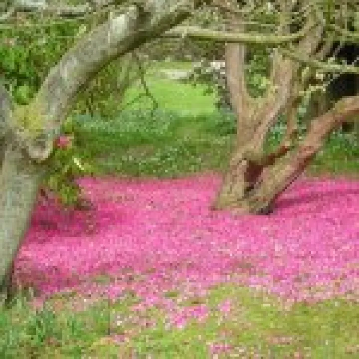 Holker Hall Visit 026