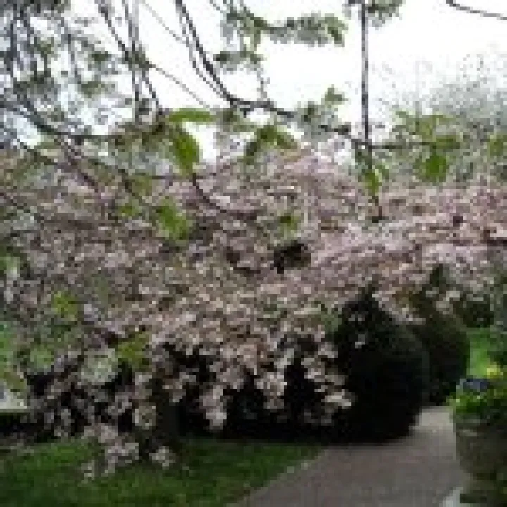 Holker Hall Visit 014