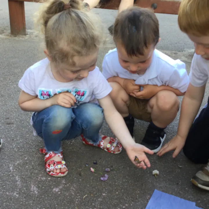 Image: 2EF37A7D-315E-4C56-A8C0-F6A557C7FDB7