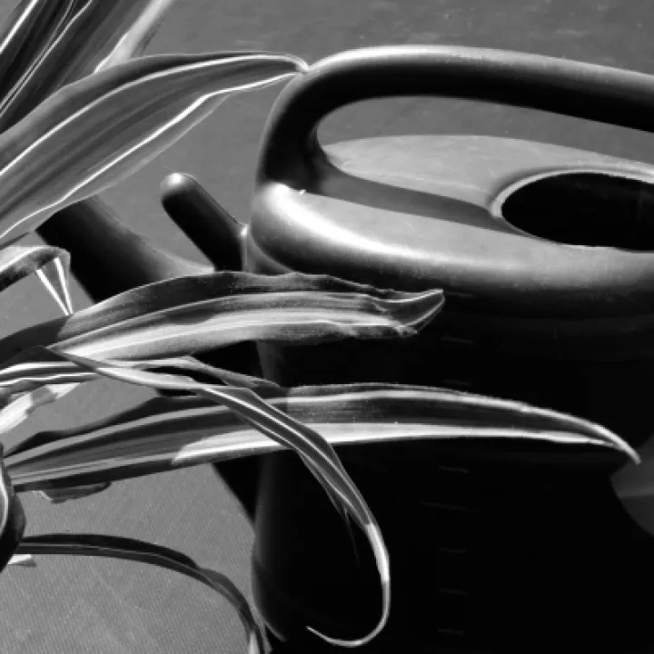 Image: 12 Senior1 Ewan HighandDry