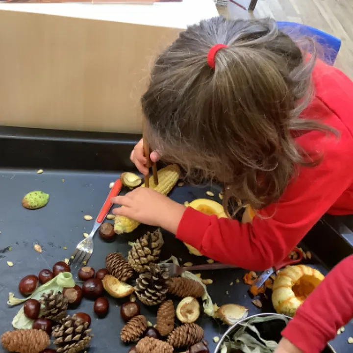 Image: 8CCE248E-3665-4A86-8B75-EB8910489F9D