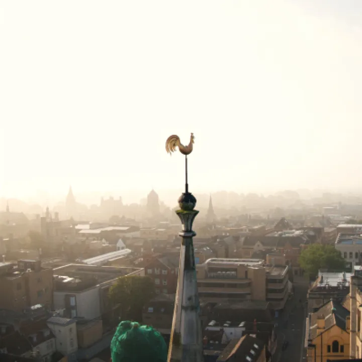 Weathervane image on banner