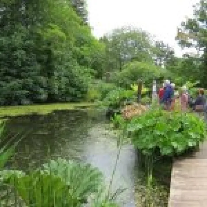 Ness Gardens jpg34