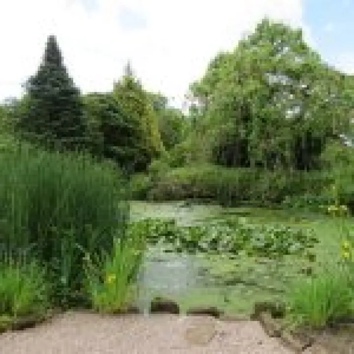 Ness Gardens jpg38