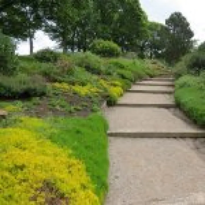 Ness Gardens jpg23