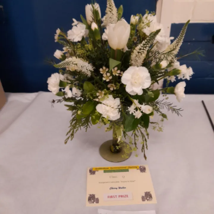 Image: 20230429 105233