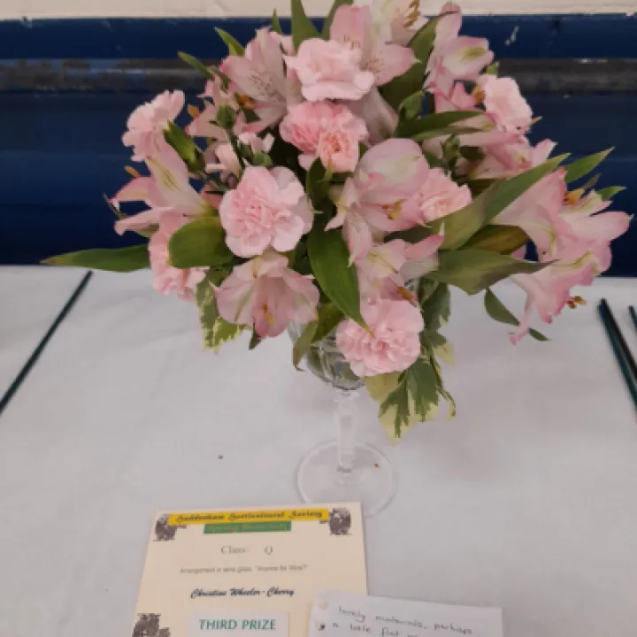 Image: 20230429 105248