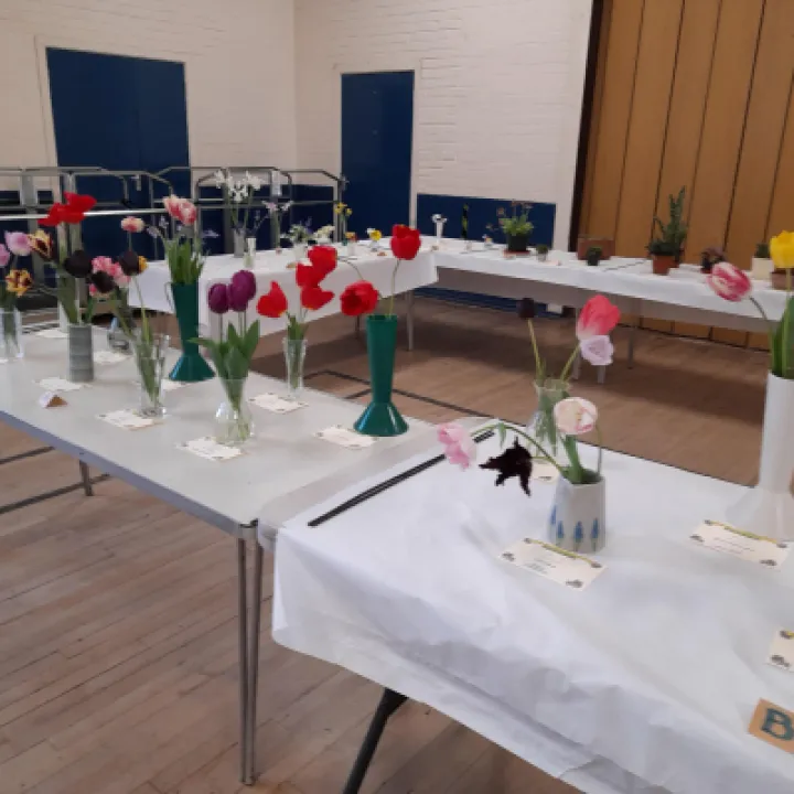 Image: 20230429 105405