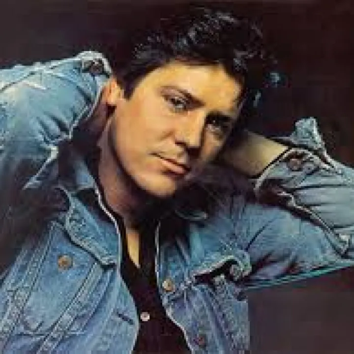Shakin stevens 1