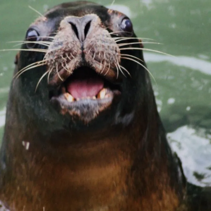 I5 Commended Gabriel