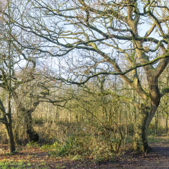 20240106-140954-Enhanced-Nr