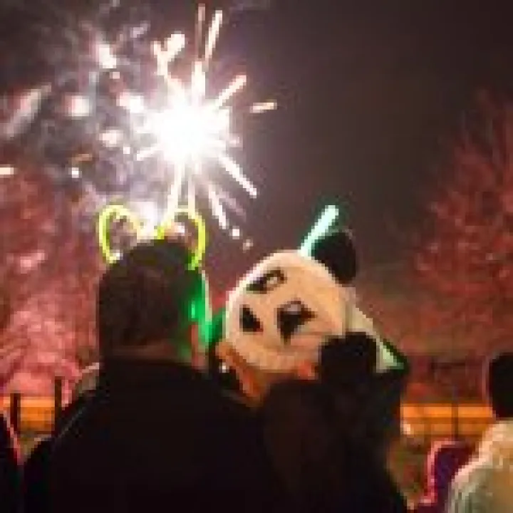 School Fireworks Night 34