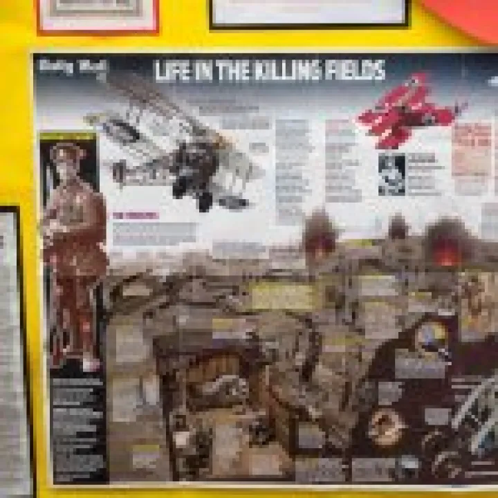 Insights into WW1 05