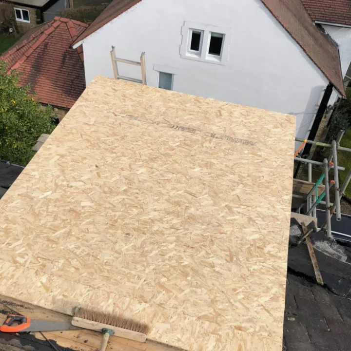 Image_123986672 11 (1)