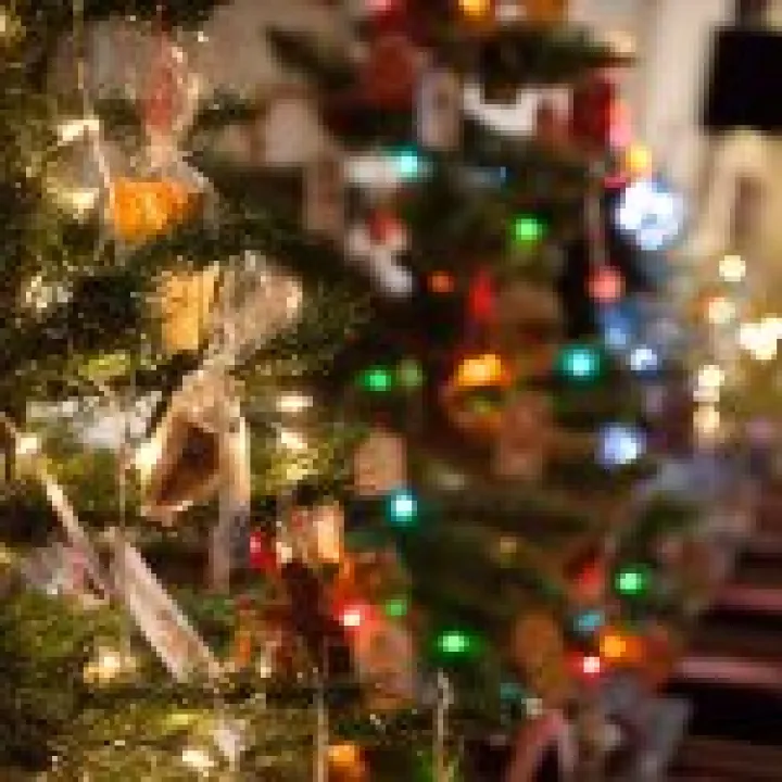 Xmas Tree Festival 03