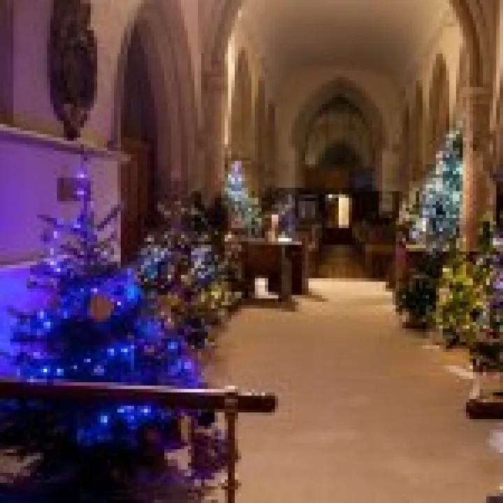 Xmas Tree Festival 09