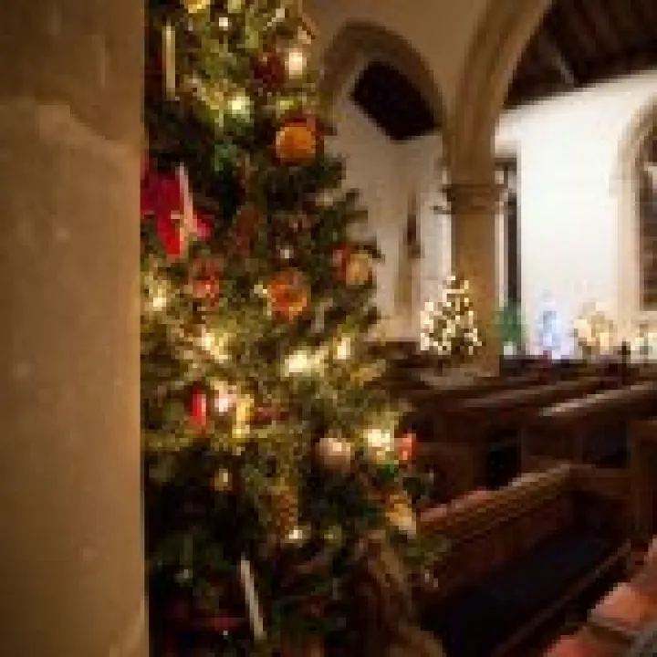 Xmas Tree Festival 10