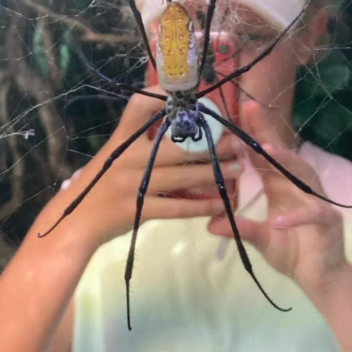 Intermediate 11-14yr_c_beth-My