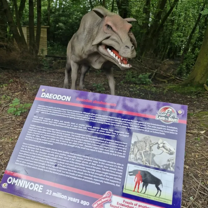 Hoozoo Dibond Signs