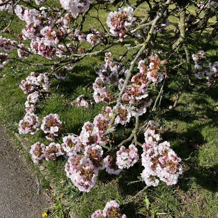 Keele Christopher Gallagher 7