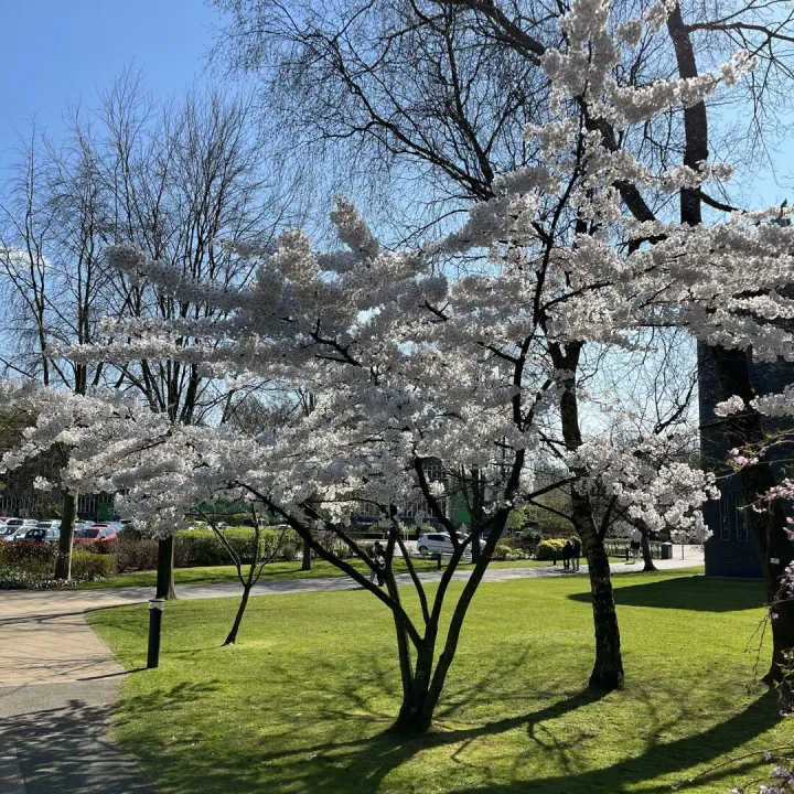 Keele Christopher Gallagher13