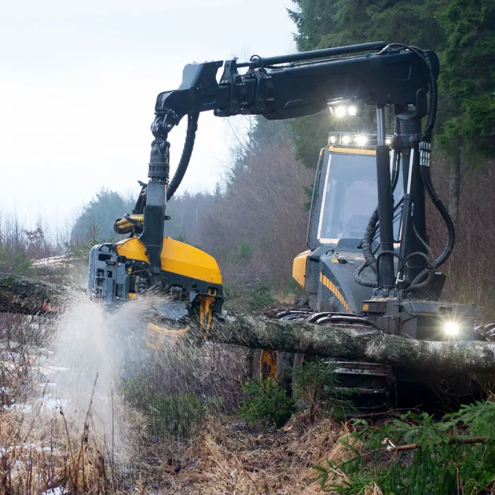 Home Page &ndash; Active Roles