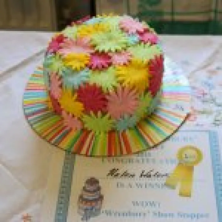 show stopper winner 2