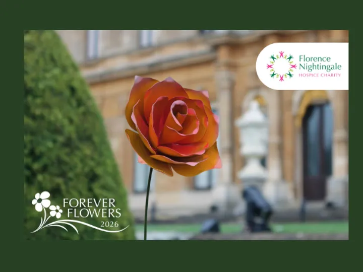 Fnhc Rose Cropped