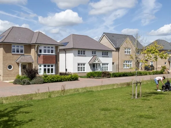 Redrow Stock Image