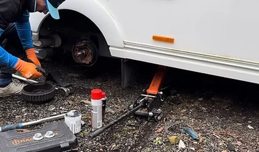 Hab Check 6 Repair