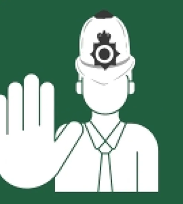Mt15p3