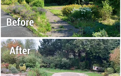 Before and After  Peace Garden