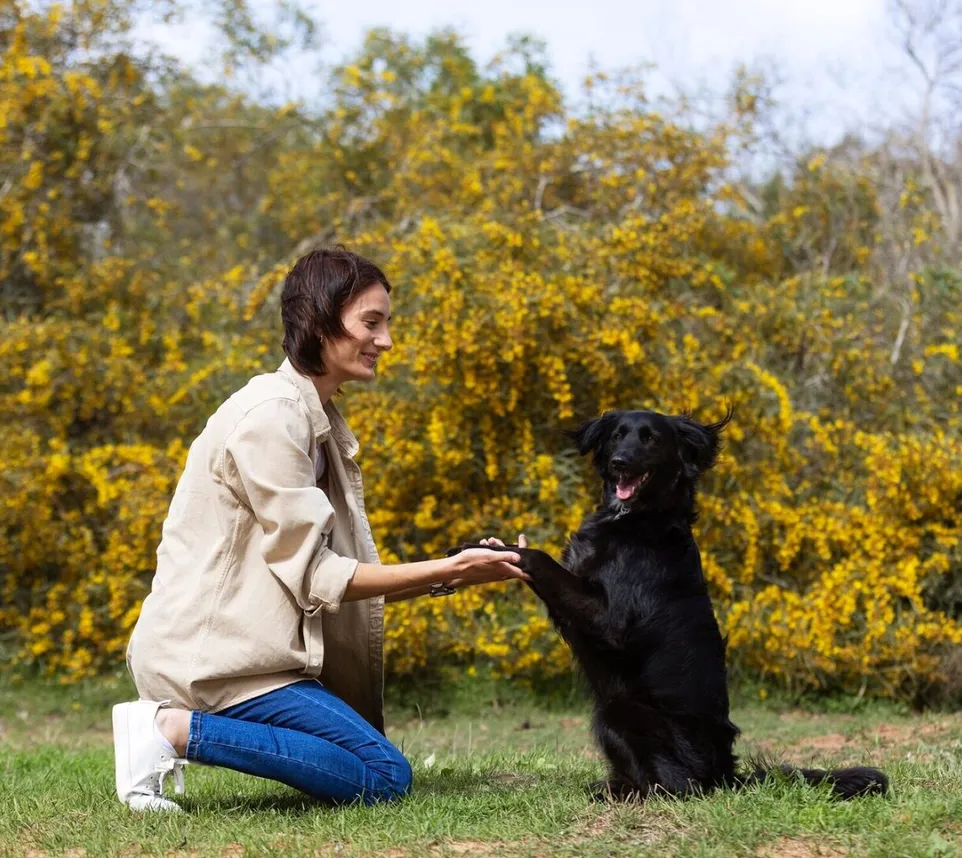 Dog trainer interacting with their pet