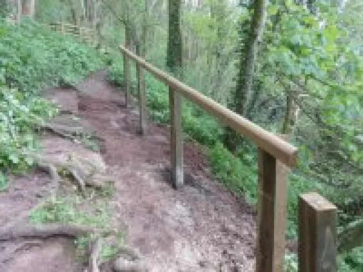 Footpath rails